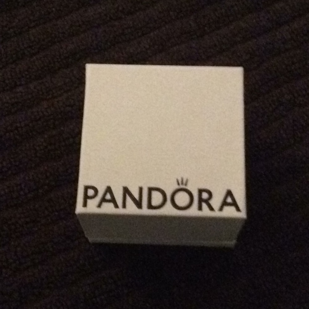 New Pandora charm